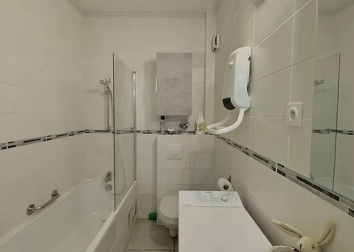 Agreable T2 Climatise Avec Parking, Terrasse Et Animaux Acceptes - Fr-1-529-290