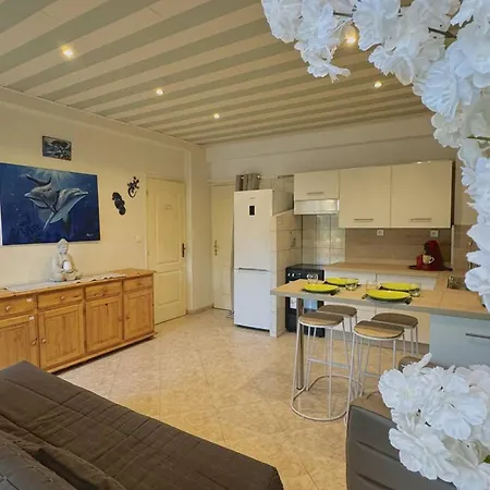 Agreable T2 Climatise Avec Parking, Terrasse Et Animaux Acceptes Apartment