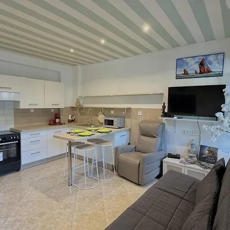 Apartmán Agreable T2 Climatise Avec Parking, Terrasse Et Animaux Acceptes - Fr-1-529-290 *