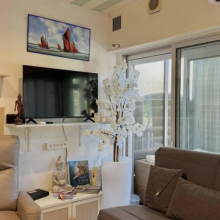 Apartmán Agreable T2 Climatise Avec Parking, Terrasse Et Animaux Acceptes - Fr-1-529-290 Le Barcarès
