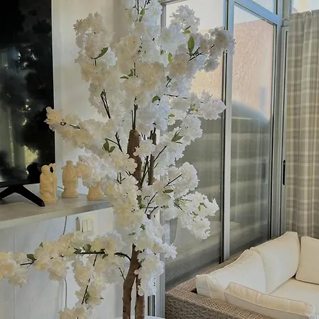 Agreable T2 Climatise Avec Parking, Terrasse Et Animaux Acceptes - Fr-1-529-290 * Le Barcarès