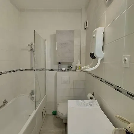 Agreable T2 Climatise Avec Parking, Terrasse Et Animaux Acceptes - Fr-1-529-290