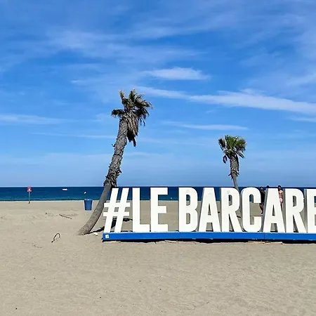Agreable T2 Climatise Avec Parking, Terrasse Et Animaux Acceptes - Fr-1-529-290 Apartmán Le Barcarès