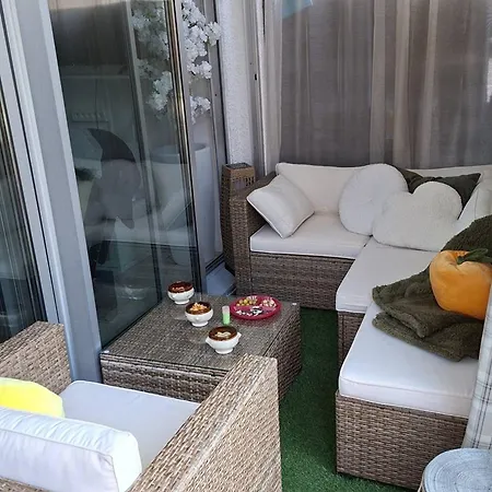 Agreable T2 Climatise Avec Parking, Terrasse Et Animaux Acceptes - Fr-1-529-290