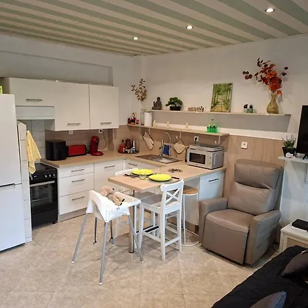 Apartmán Agreable T2 Climatise Avec Parking, Terrasse Et Animaux Acceptes - Fr-1-529-290 *