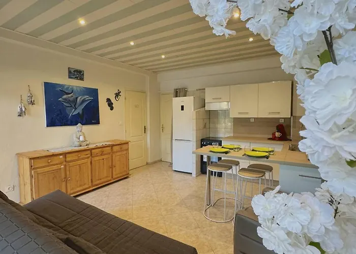 Agreable T2 Climatise Avec Parking, Terrasse Et Animaux Acceptes - Fr-1-529-290 Apartment