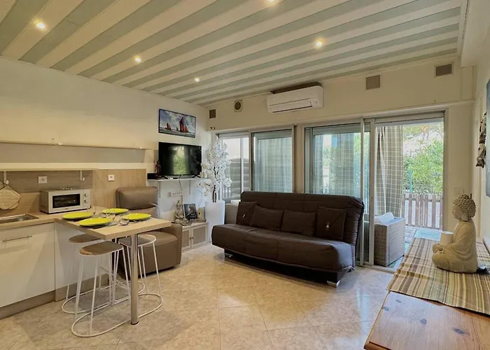 Apartment Agreable T2 Climatise Avec Parking, Terrasse Et Animaux Acceptes - Fr-1-529-290 *