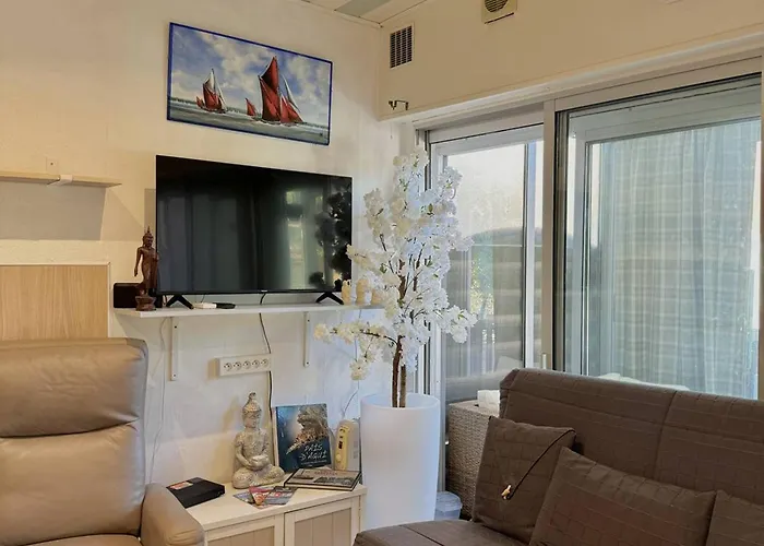 Apartment Agreable T2 Climatise Avec Parking, Terrasse Et Animaux Acceptes - Fr-1-529-290 Le Barcares