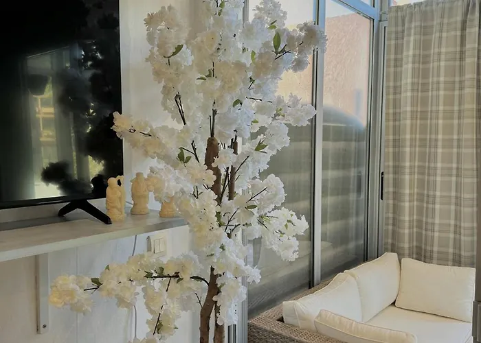 Agreable T2 Climatise Avec Parking, Terrasse Et Animaux Acceptes - Fr-1-529-290 * Le Barcares