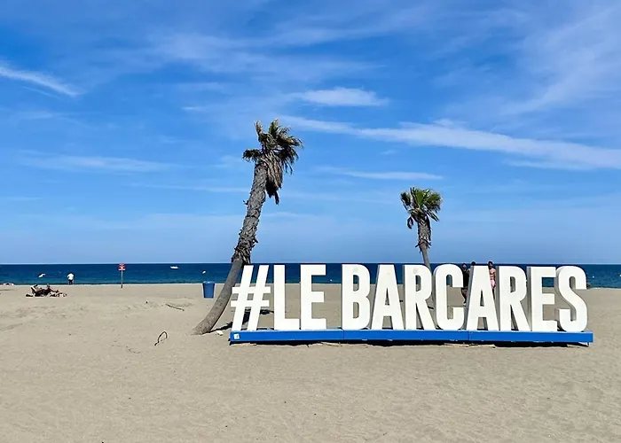 Agreable T2 Climatise Avec Parking, Terrasse Et Animaux Acceptes - Fr-1-529-290 Apartment Le Barcares