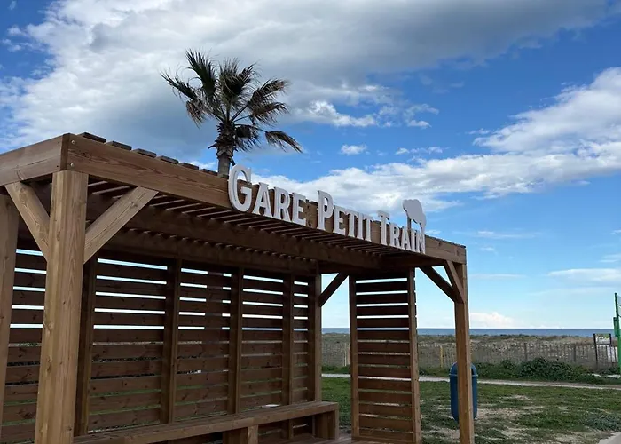 Agreable T2 Climatise Avec Parking, Terrasse Et Animaux Acceptes - Fr-1-529-290 * Le Barcares